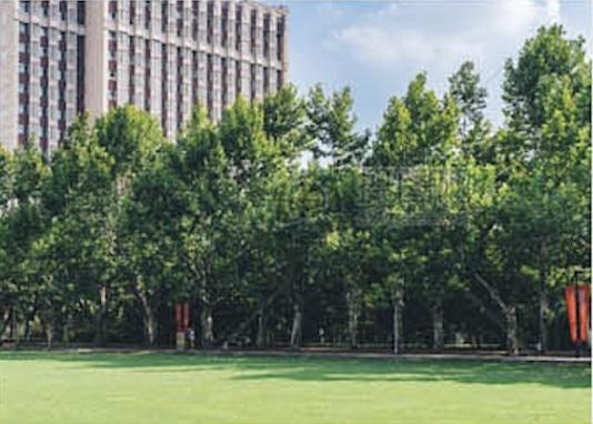 ������(btt)����-918������,���������