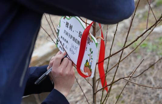 ������(btt)����-918������,���������